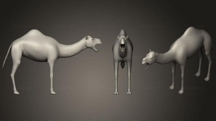 Статуэтки животных (Верблюд, STKJ_0909) 3D модель для ЧПУ станка